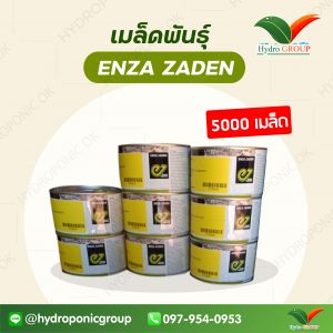 เมล็ดพันธุ์ Enza Zaden 5000 เมล็ด